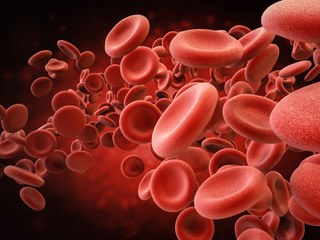 Diagnostik und Labor